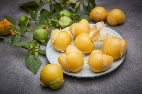 Amarylla tomatillo - mexikói földicseresznye, Physalis ixocarpa, padlizsán